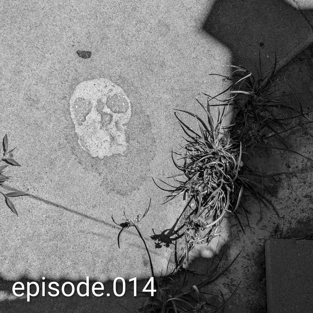 Andrea Toyias tweet media