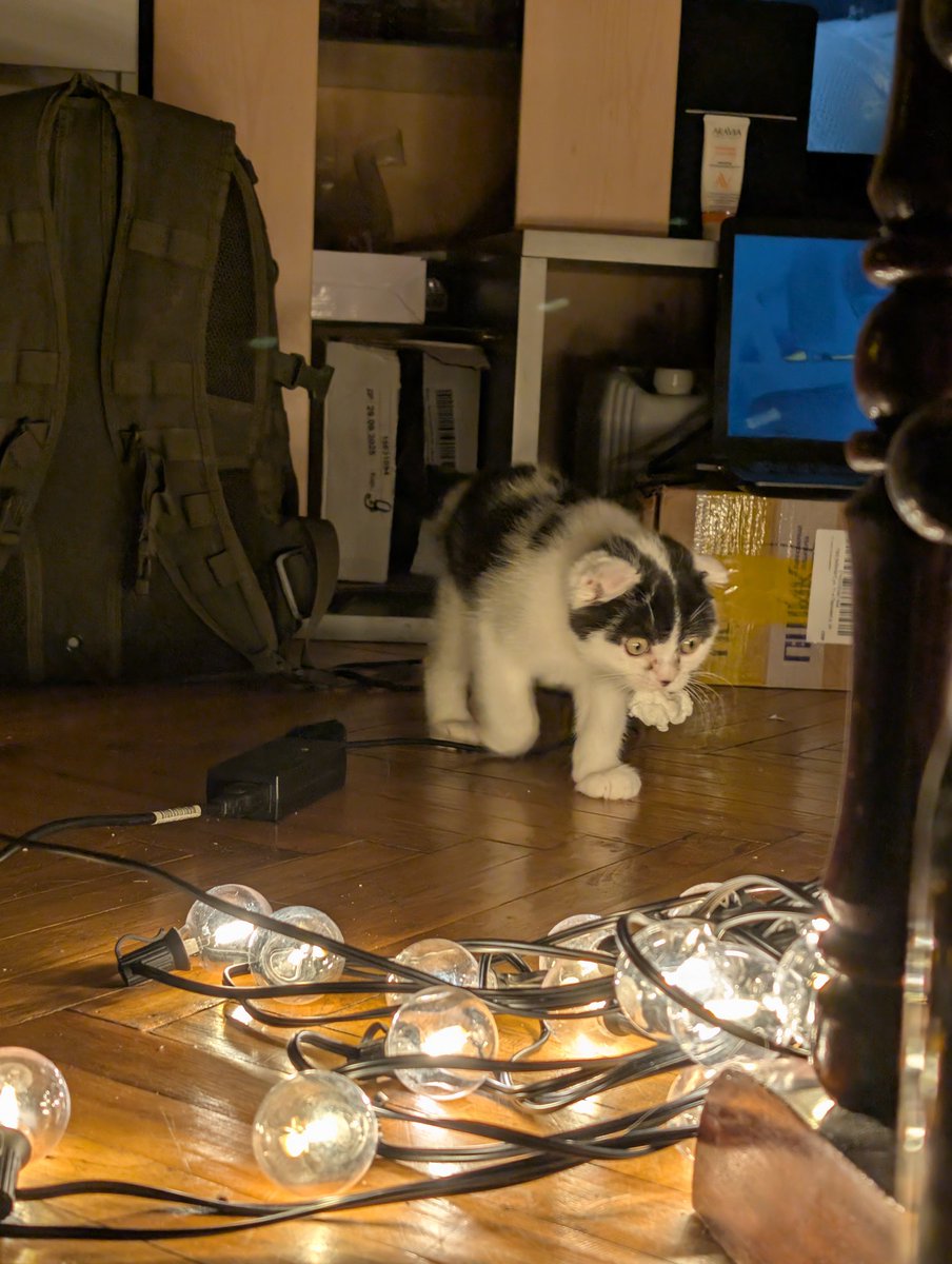 Банши орет, потому что просто заебалась tweet media