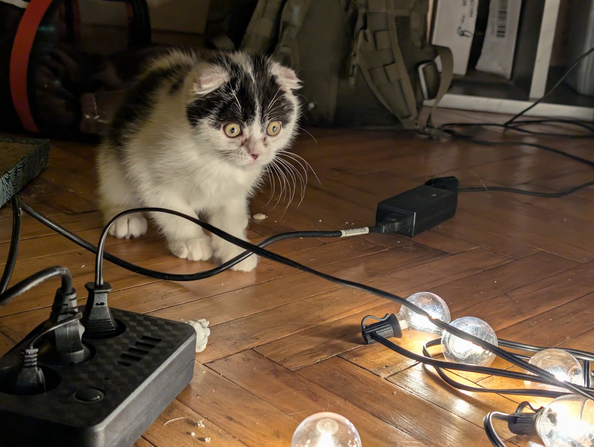 Банши орет, потому что просто заебалась tweet media