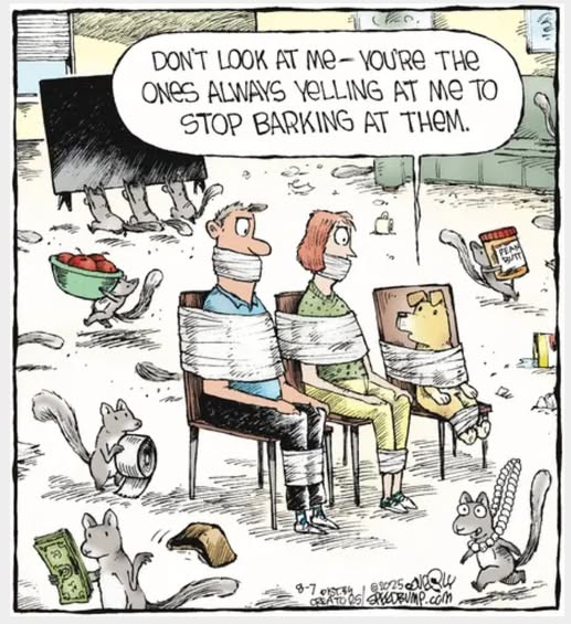 Slinky Pants & Fuzz Ball (@fly_mist) on Twitter photo 