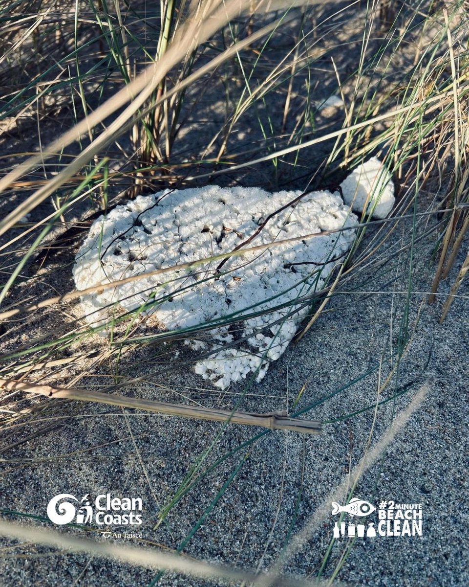 Clean Coasts tweet media