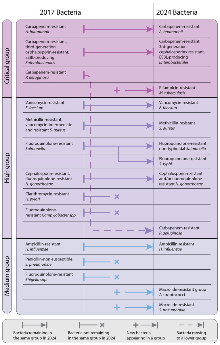 Unseen Enemy: Mechanisms of Multidrug Antimicrobial Resistance in Gram-Negative ESKAPE Pathogens | Antibiotics

(mdpi.com/2079-6382/14/1…)