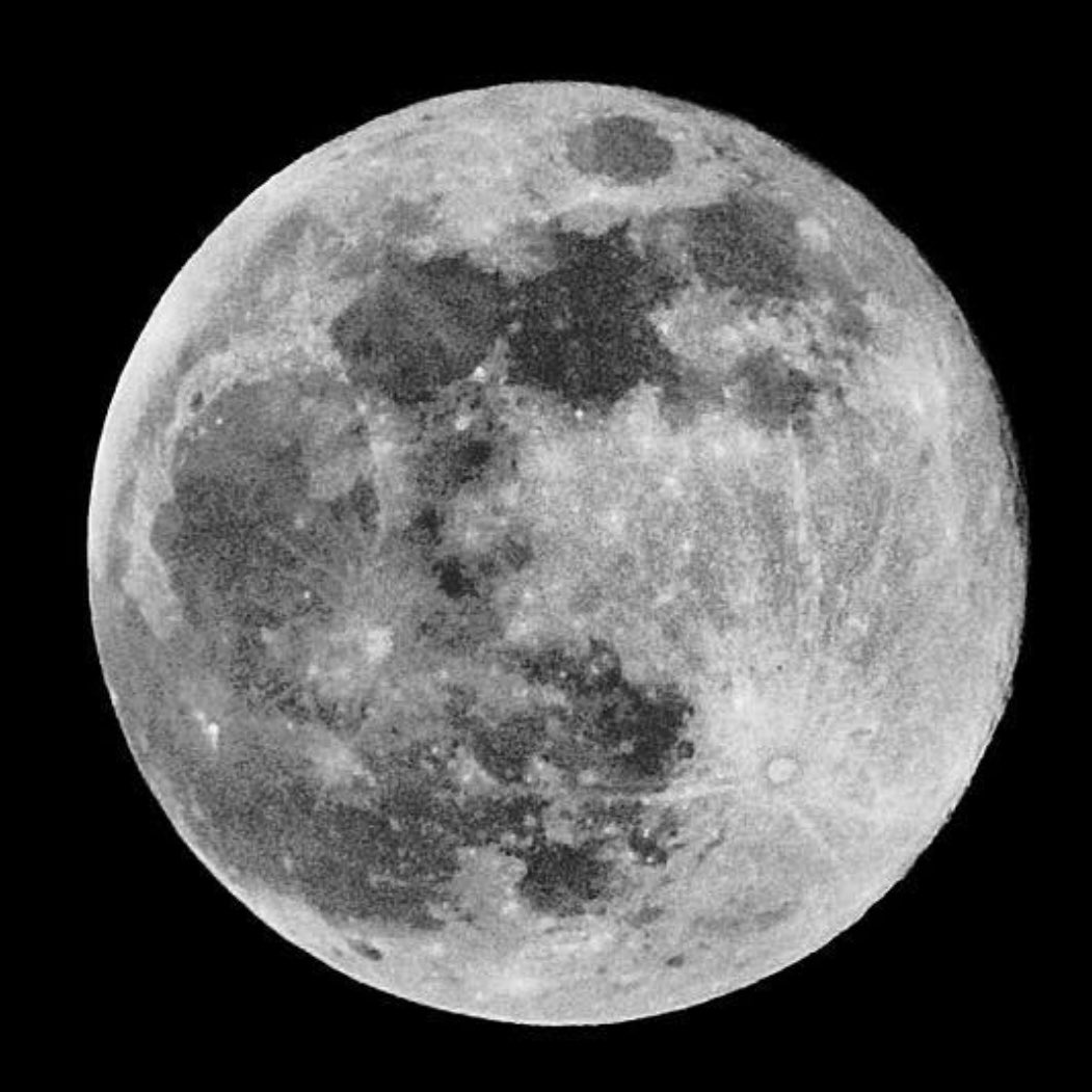 Fidel Amos ⟁ tweet media