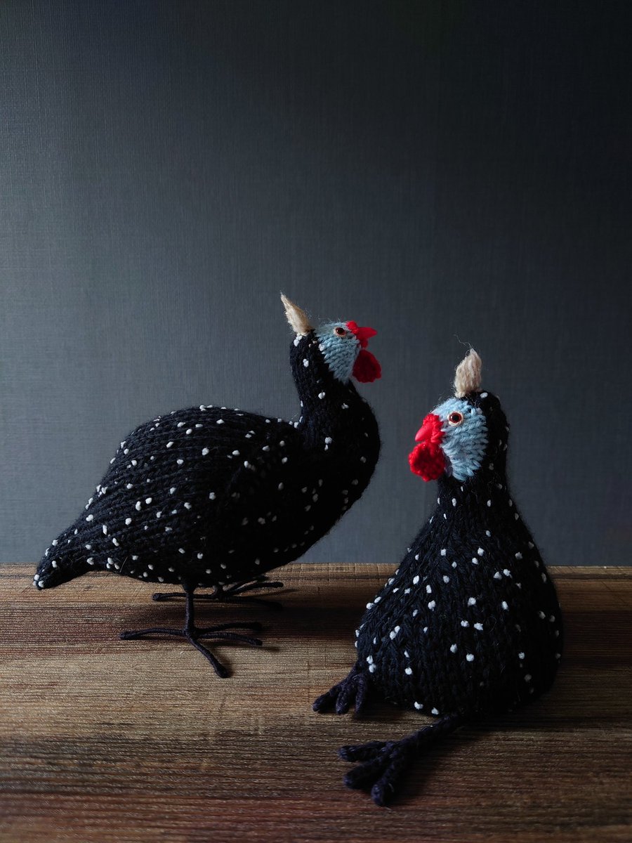 soruni_h's tweet image. #あみぐるみ
#amigurumi
#棒針編みのあみぐるみ
#アオアシカツオドリ
#ヘビクイワシ
#コンゴウインコ
#ホロホロ鳥