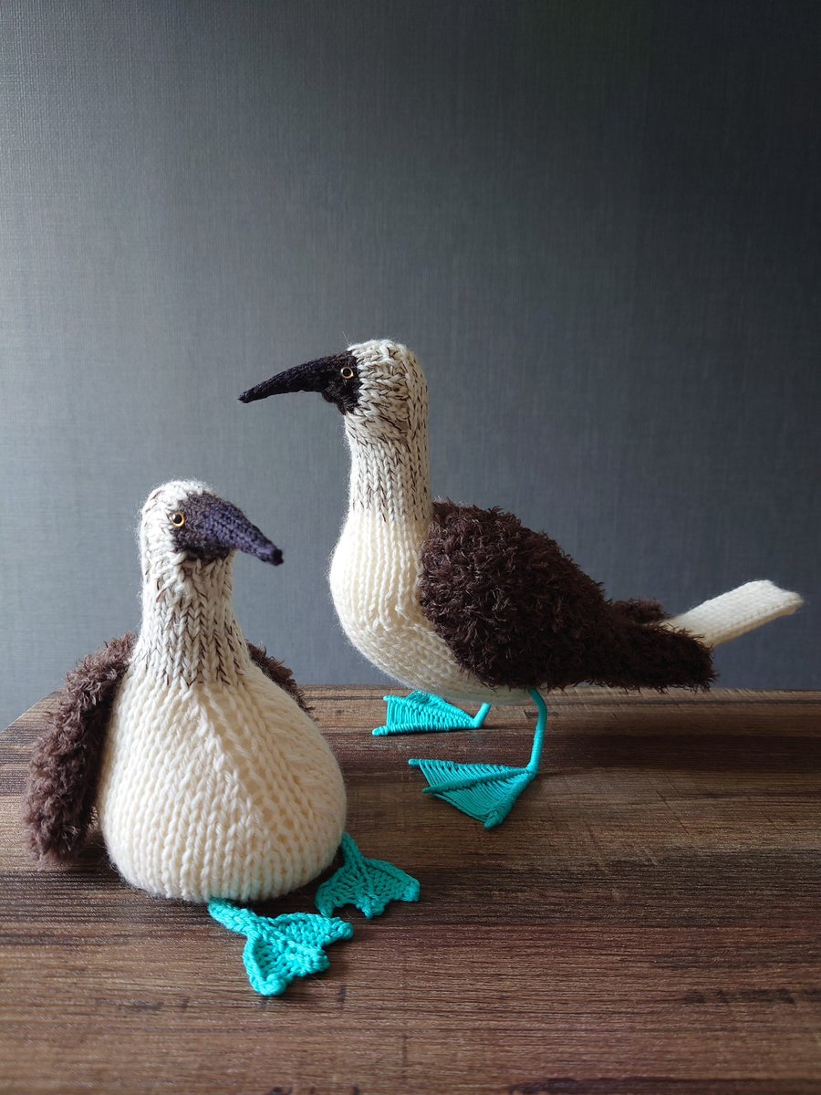 soruni_h's tweet image. #あみぐるみ
#amigurumi
#棒針編みのあみぐるみ
#アオアシカツオドリ
#ヘビクイワシ
#コンゴウインコ
#ホロホロ鳥