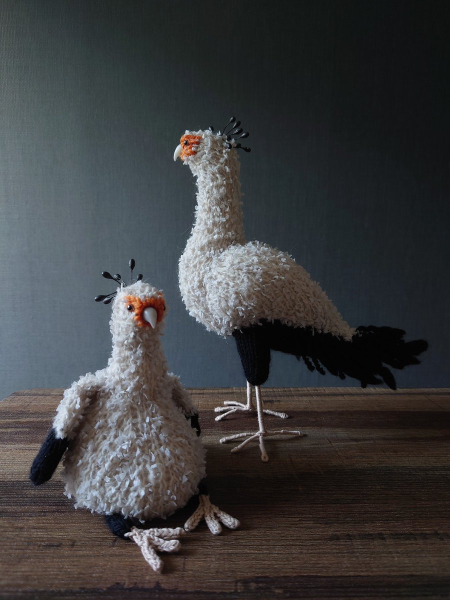 soruni_h's tweet image. #あみぐるみ
#amigurumi
#棒針編みのあみぐるみ
#アオアシカツオドリ
#ヘビクイワシ
#コンゴウインコ
#ホロホロ鳥