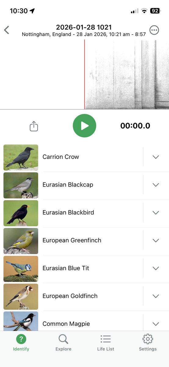 NG4 online tweet media