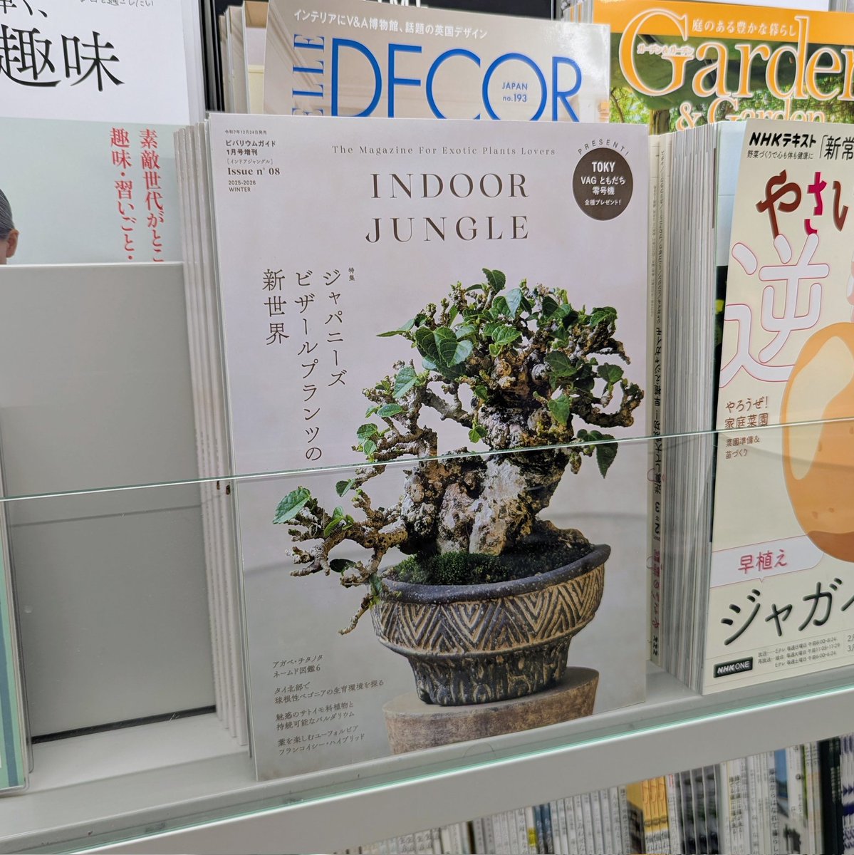 mpj_hansoku's tweet image. 本日は、#丸善ラゾーナ川崎店 さんにお邪魔しました。『#インドアジャングル No.09／ジャパニーズ ビザールプランツの新世界』を面陳展開いただいております。川崎方面の方は是非どうぞ〜
#INDOORJUNGLE