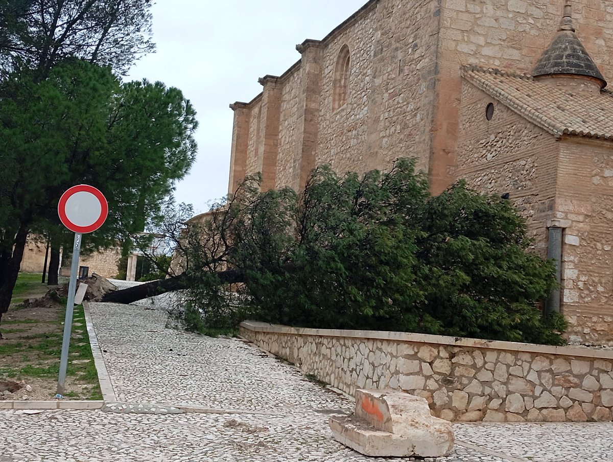 Importantes daños al paso del temporal por Estepa ⛈️🌲

Cerro de San Cristóbal 

Estepa(sevilla) 

📸 Imágenes cedidas de Redes Sociales