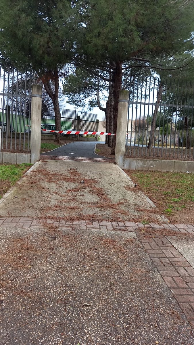Policía Local CReal tweet media