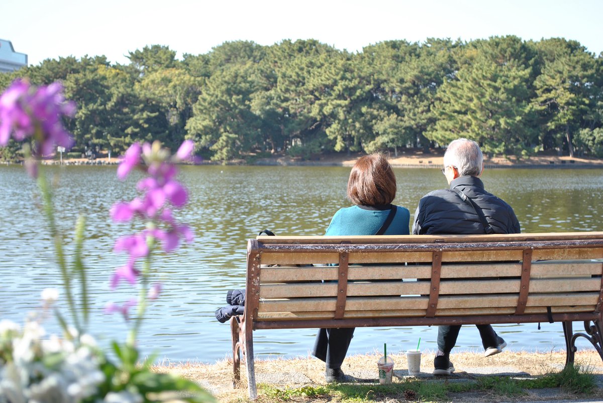 momochaaanmac's tweet photo. ベンチ
#D3000 #Nikon #スナップ #snap #大濠公園 #ベンチ #写真好きな人と繋がりたい https://t.co/nqLkZ3oM8l
