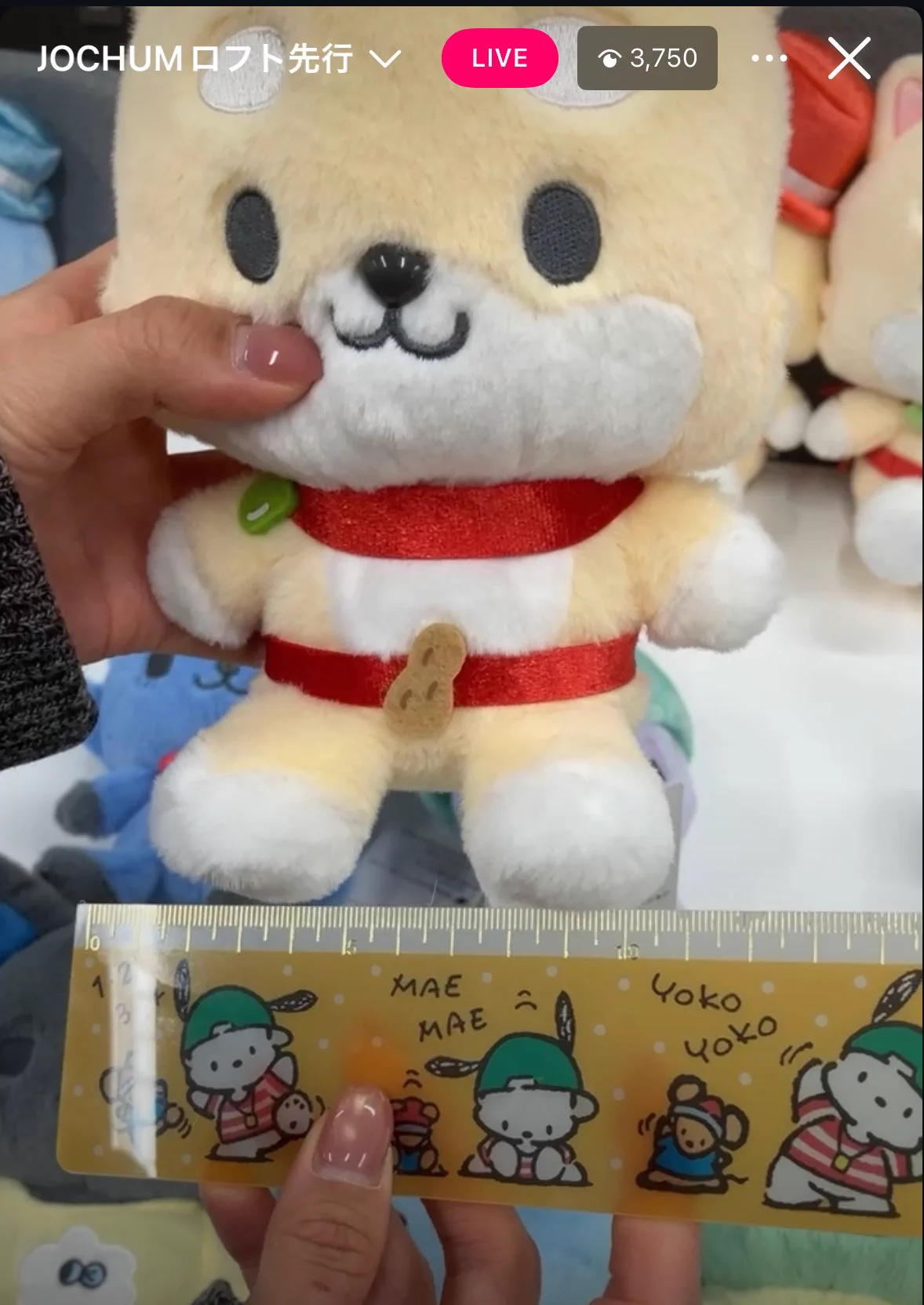 犬歯ちゃん✈️🦷🐈🖤 on X: 
