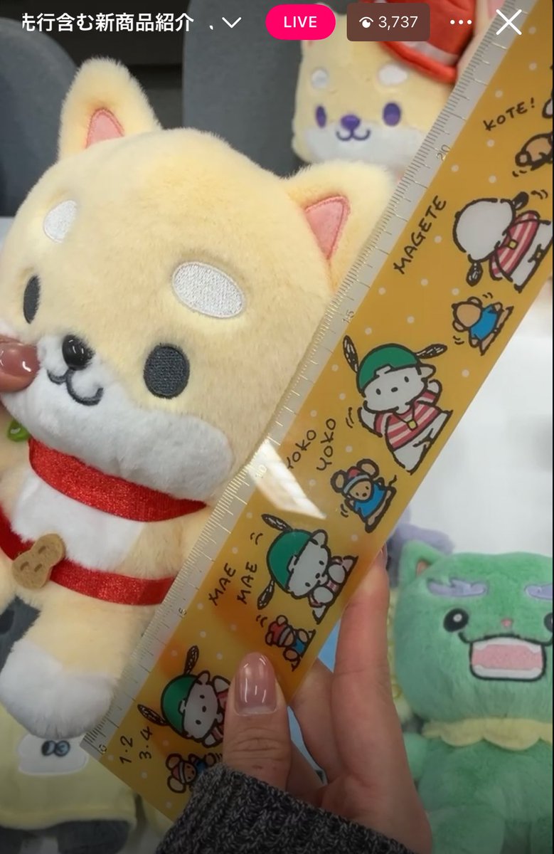 犬歯ちゃん✈️🦷🐈🖤 on X: 