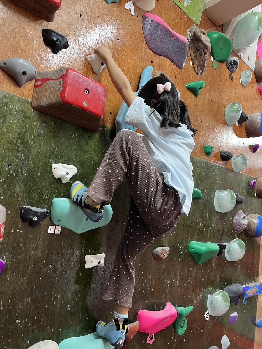 VolnyClimbing's tweet photo. VOLNY相模原ではキッズスクール生を募集中！
様々な傾斜のまぶし壁に加え4歳頃から登れるキッズウォールをご用意！
自分に合う壁で登ることができます🧗‍♀️

スクール体験はこちらから↓

https://t.co/MVfJqVhTuF

#ボルダリング #習い事 #お出かけ #町田 #八王子 #神奈川 #相模大野 #クライミング https://t.co/ZzwkZZsO7a
