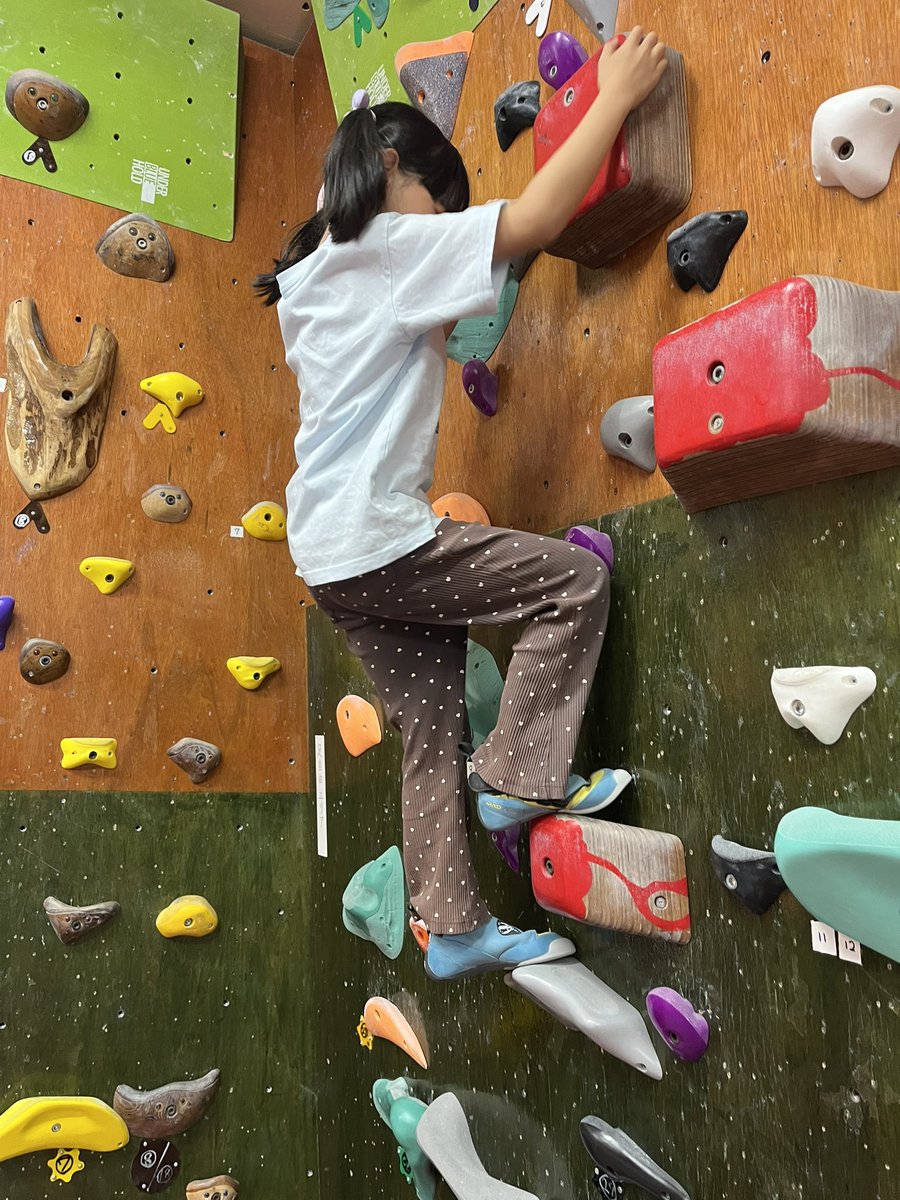 VolnyClimbing's tweet photo. VOLNY相模原ではキッズスクール生を募集中！
様々な傾斜のまぶし壁に加え4歳頃から登れるキッズウォールをご用意！
自分に合う壁で登ることができます🧗‍♀️

スクール体験はこちらから↓

https://t.co/MVfJqVhTuF

#ボルダリング #習い事 #お出かけ #町田 #八王子 #神奈川 #相模大野 #クライミング https://t.co/ZzwkZZsO7a
