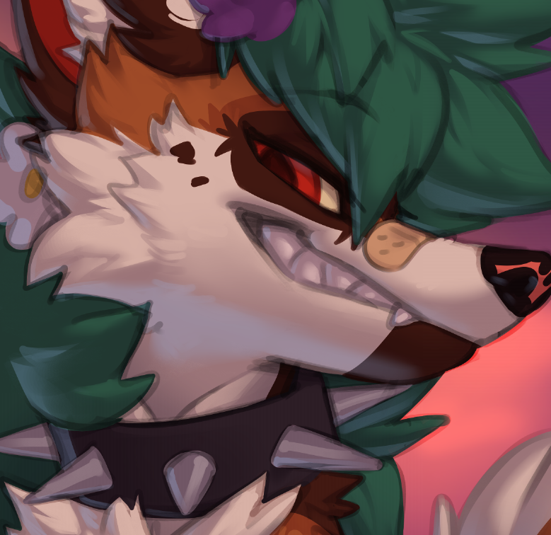 ✨KOIRA✨ tweet media