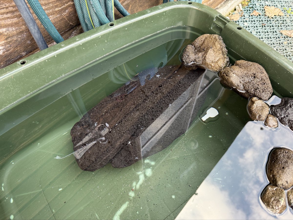 今日の青空ようちえんで、子ども達のお船になっていた42cmの軽石くん