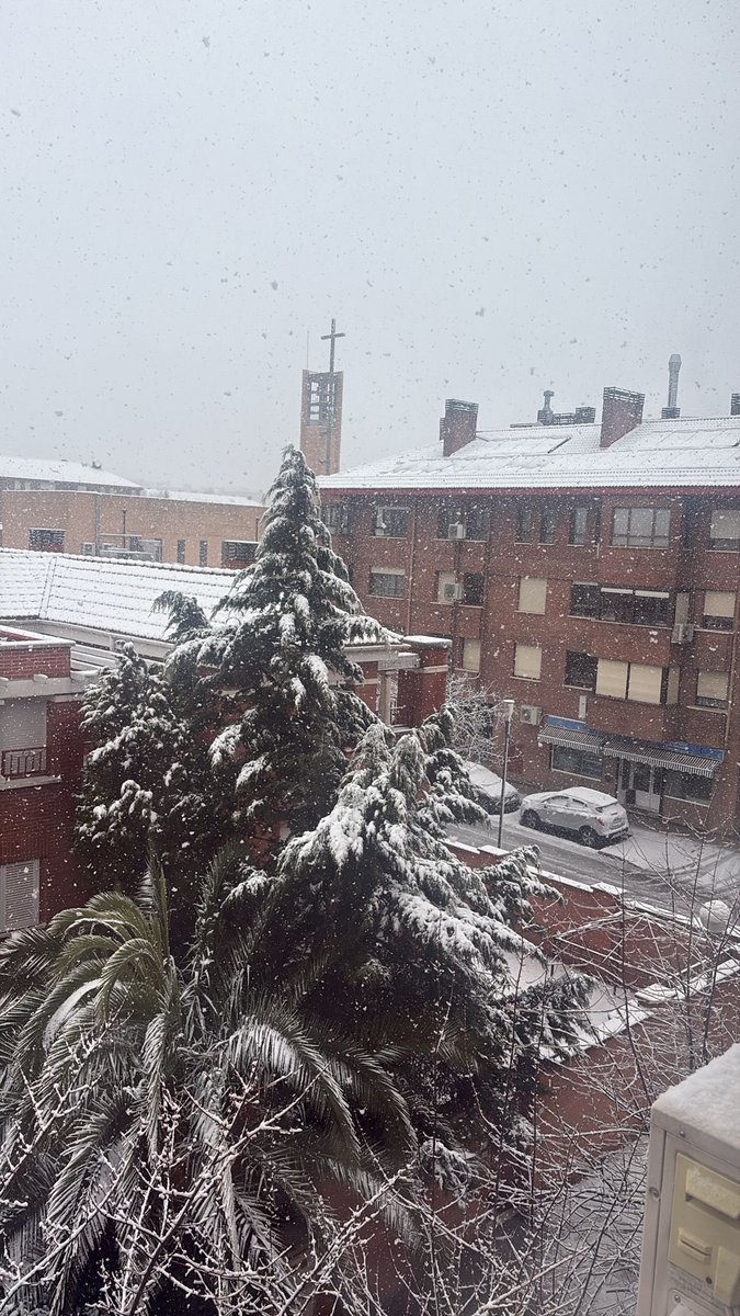iRealSara's tweet photo. Despertar así ❄️❄️❄️🤍 https://t.co/URjTYfqt7V