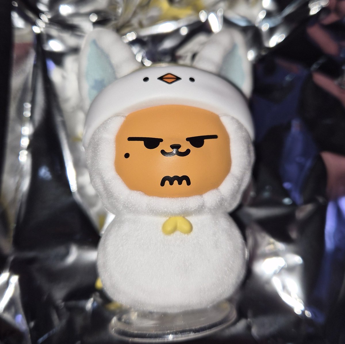 최아오 tweet media