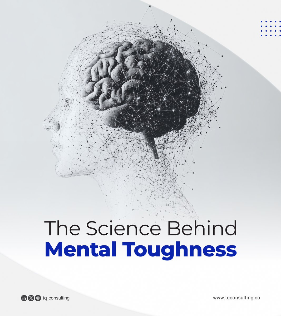 TQ Consulting tweet media