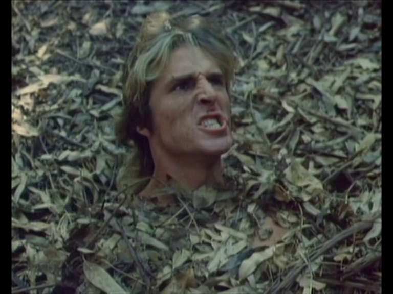 Sébastien Rassiat tweet media