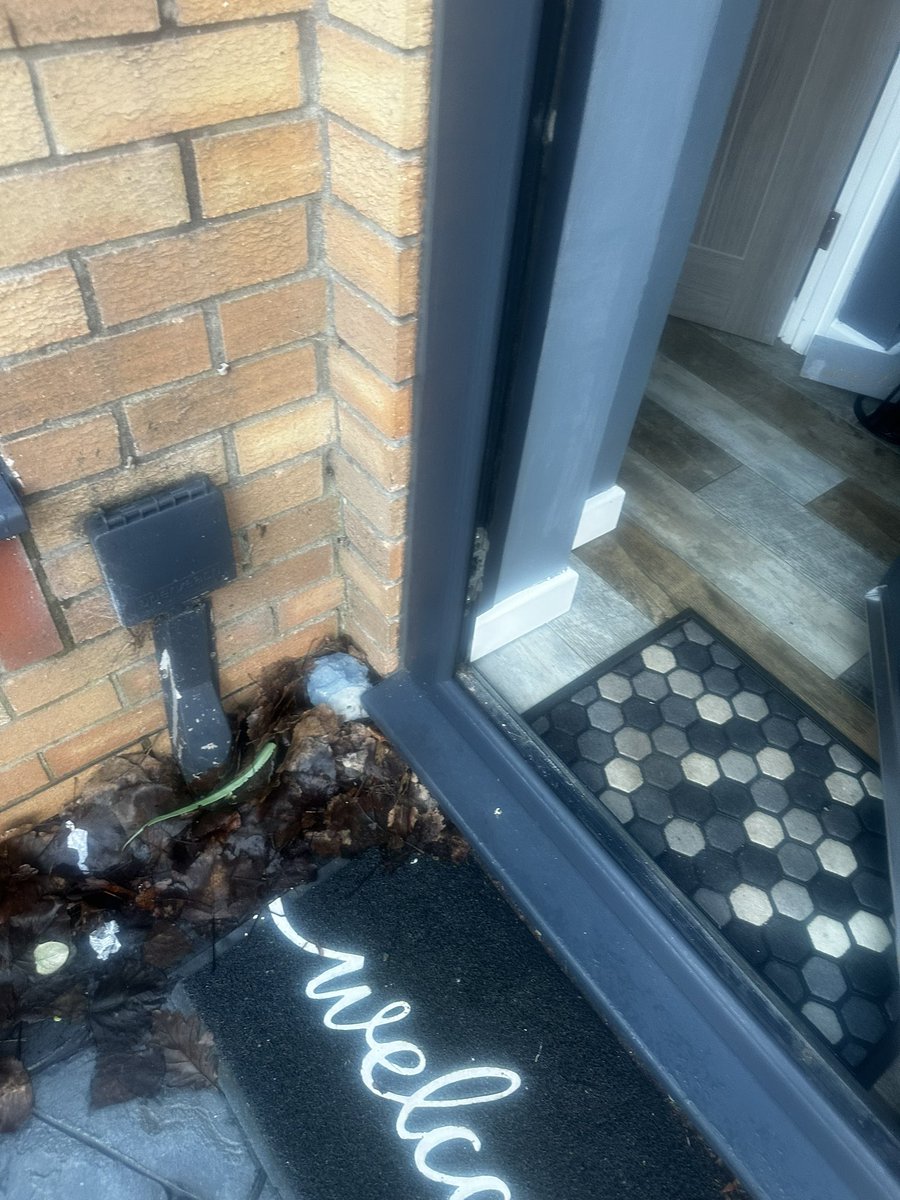 Janine Parry tweet media