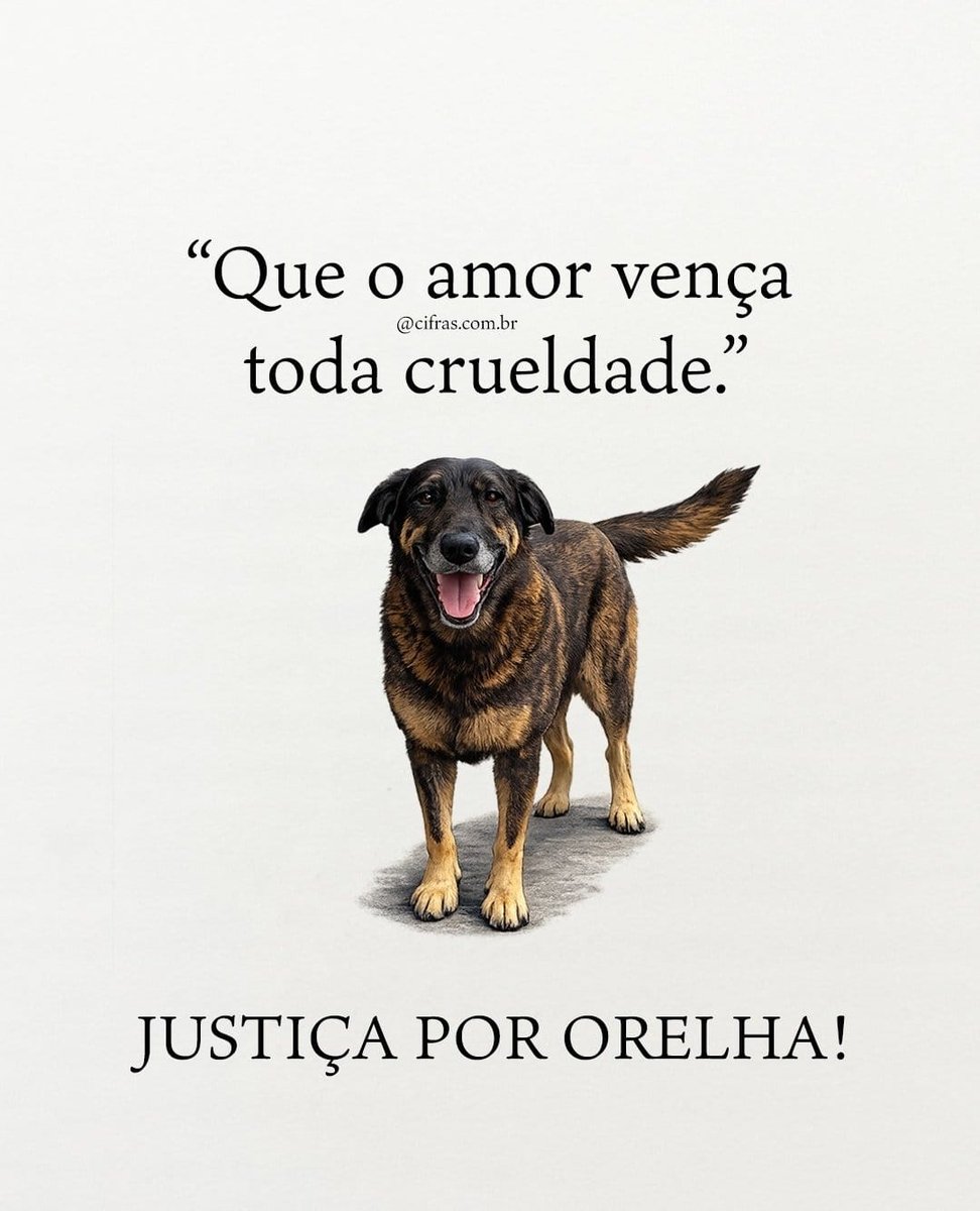Compartilhem 👍🏼

Justiça por Orelha!

#justicapororelha