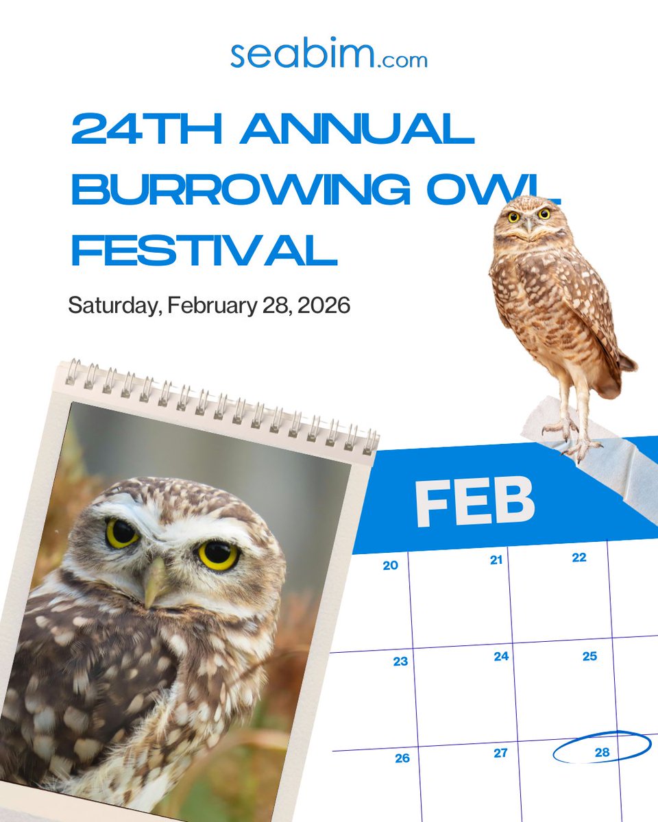 seabim's tweet image. 🦉 Mark your calendars!
Saturday, February 28, 2026 | 10 AM – 4 PM
Rotary Park, Cape Coral

💬 Tag a friend who needs a nature adventure!

#BurrowingOwl #CapeCoral