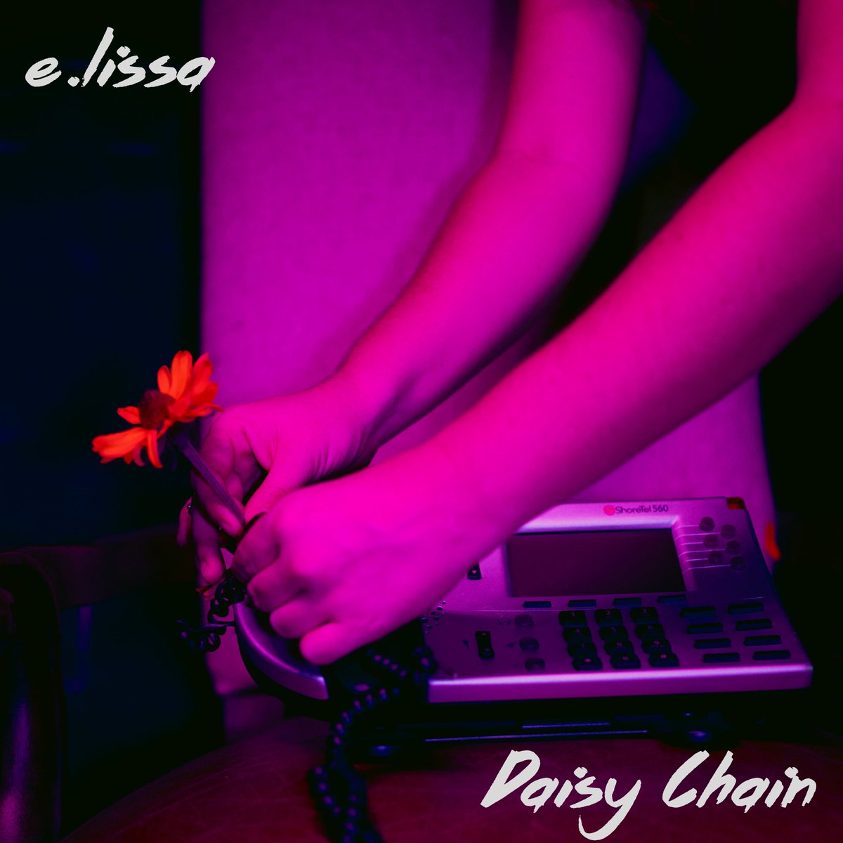 Where the Music Meets tweet media