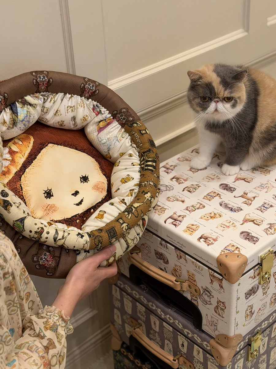 yukiemon_ (@yukiemon_) / Posts / X