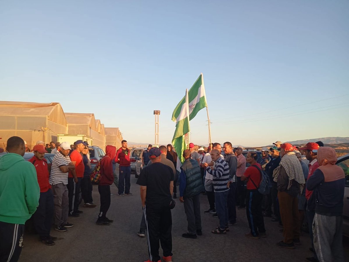 Néstor Salvador ۞ tweet media