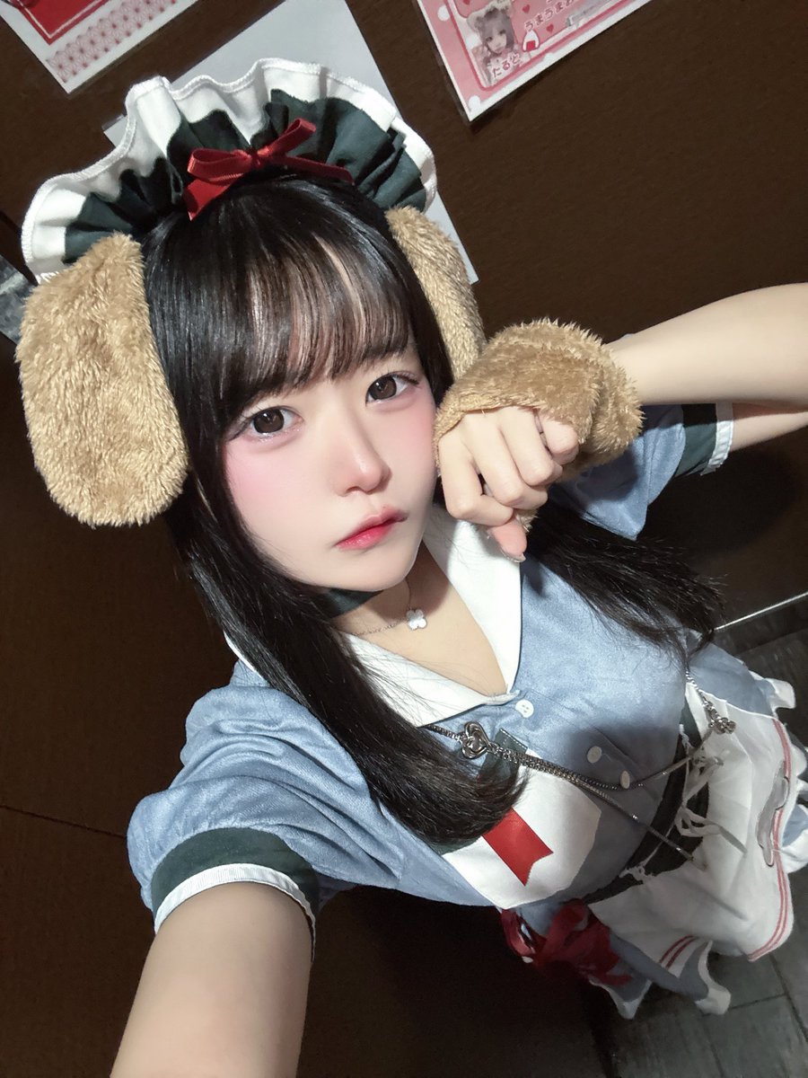 まめも@セール実施中⇨詳細はコメント欄へ Post by ころも🍤 on X: 🐶🐾