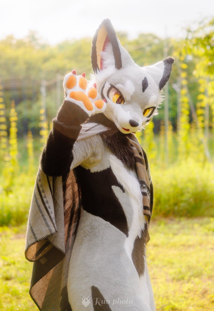 るん (Run) (@run_charizard) / Posts / X