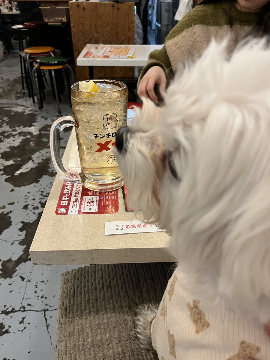 麻理@RASPBERRY tweet media