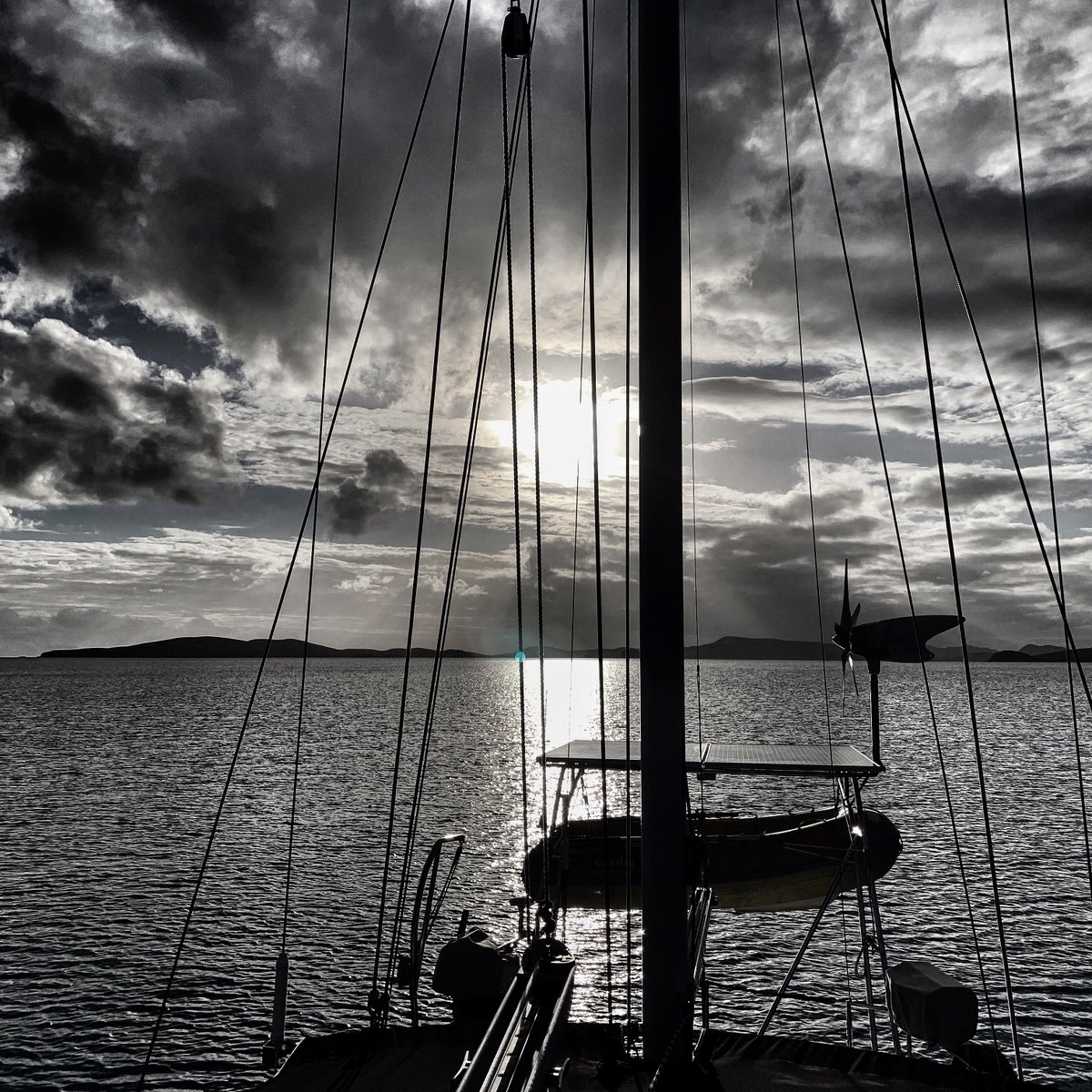 Still Air tweet media