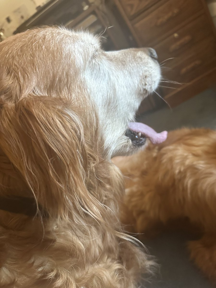 Hannah // Hades 2 spoilers tweet media