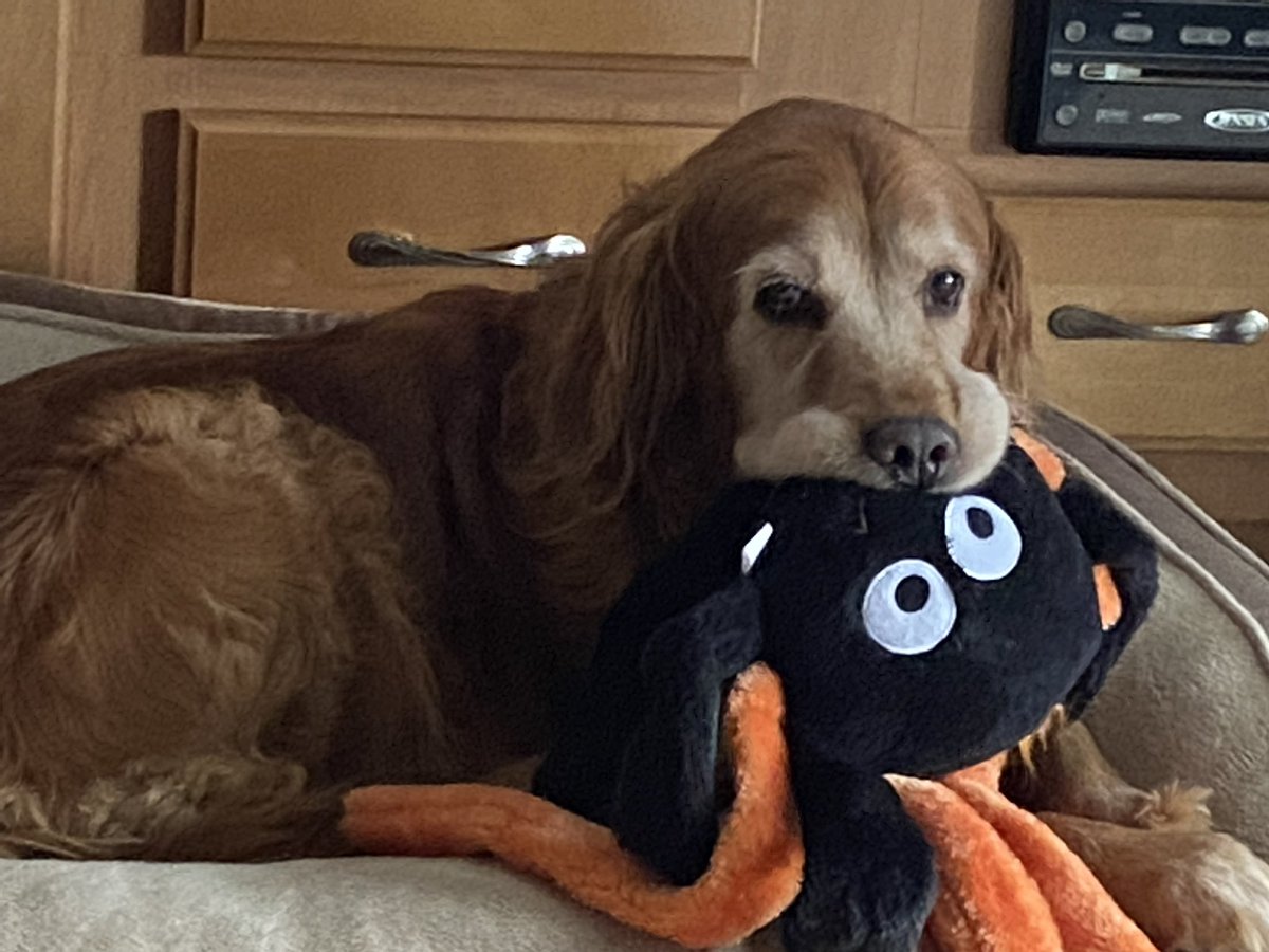 Hannah // Hades 2 spoilers tweet media