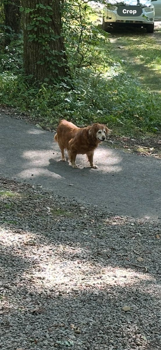 Hannah // Hades 2 spoilers tweet media