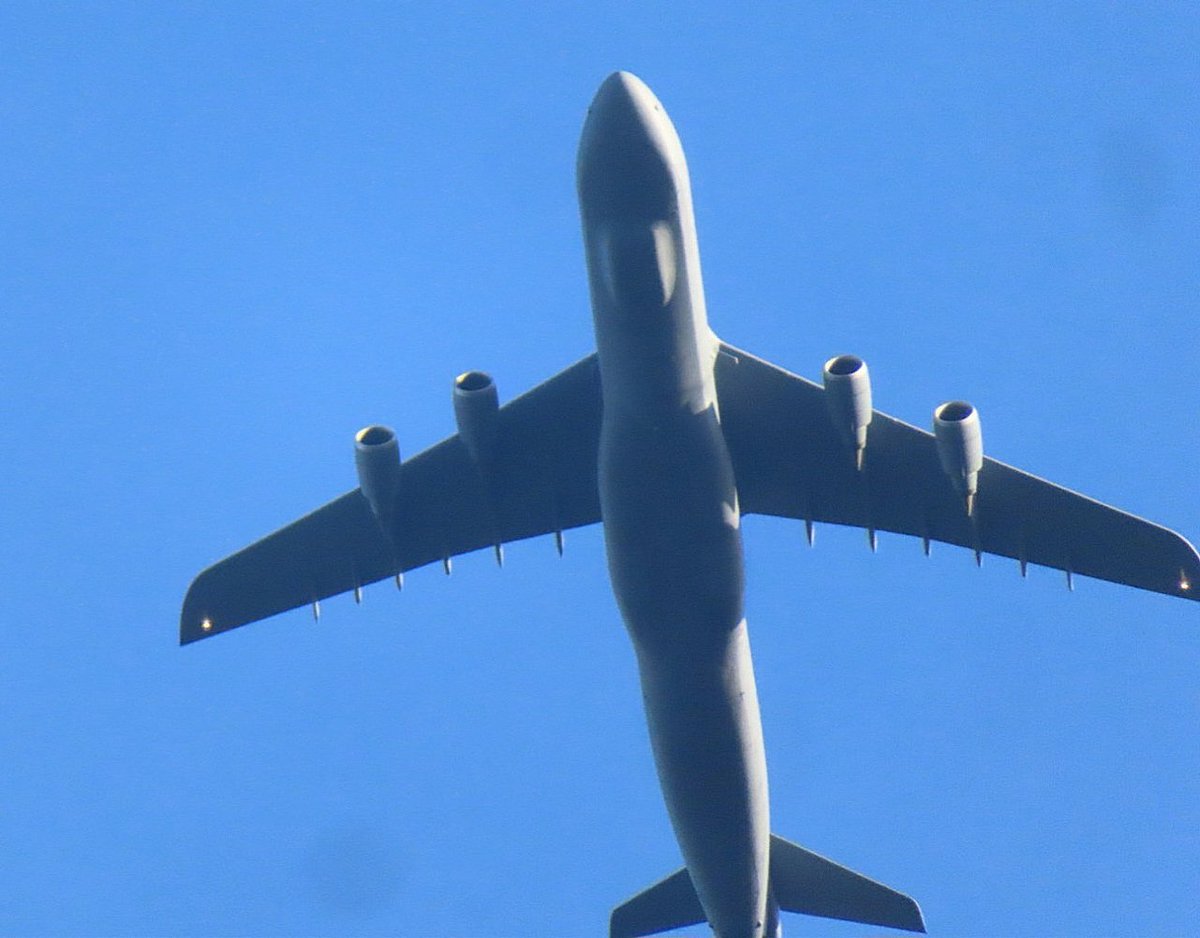 BloodyPolitics's tweet image. Good things come to good girls who wait. 😎
🇺🇸 USAF C5M Super Galaxy 87-0035 #RCH1861 from Prestwick to Birmingham checks out my freshly dug vegetable plot. 🎯 #avgeek #planespotting  fr24.com/RCH1861/3e168c…