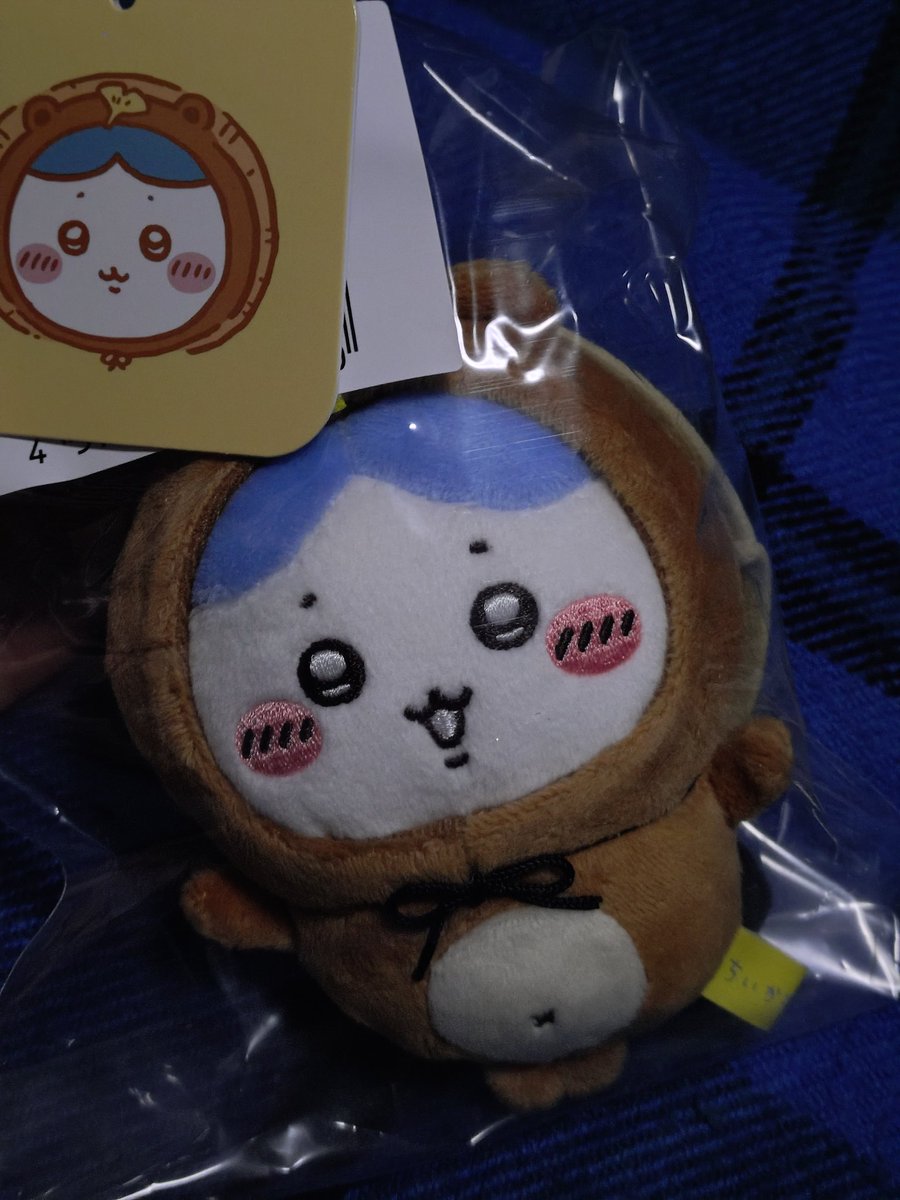 来妃 (@kuruki63) / Posts / X