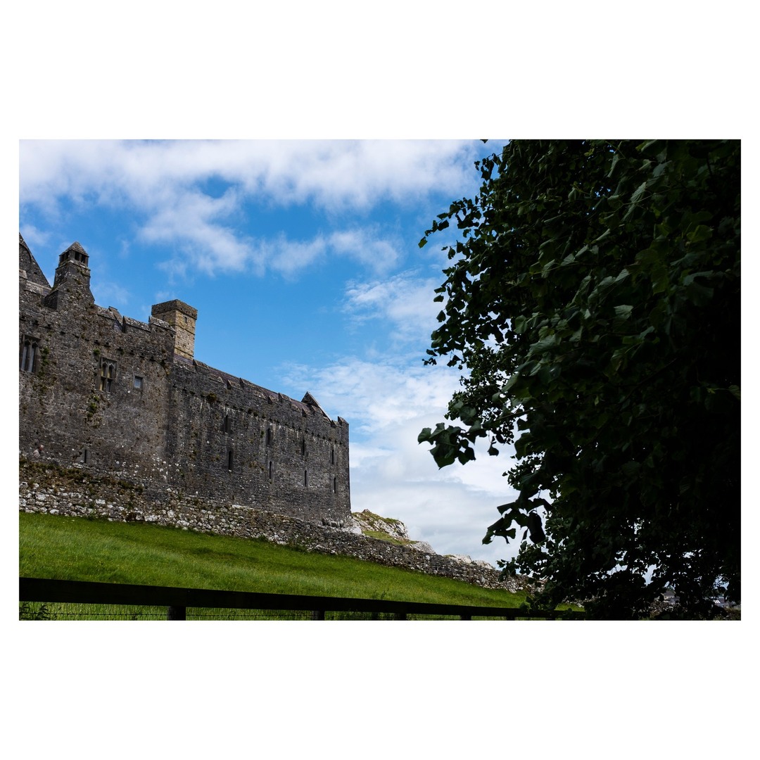 Call Me Ferdia tweet media