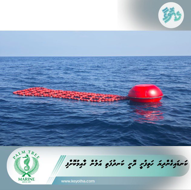 ކަނޑައިގެންދިޔަ ހަތިފުށީ ދޮށީ ކަނދުފަތި އަލުން ގާއިމުކޮށްފި
keyolha.com/news/8765/