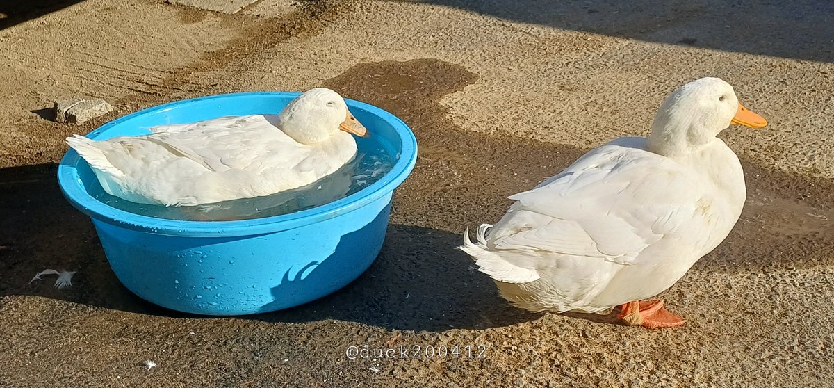 💤
푸른색이 잘 어울려