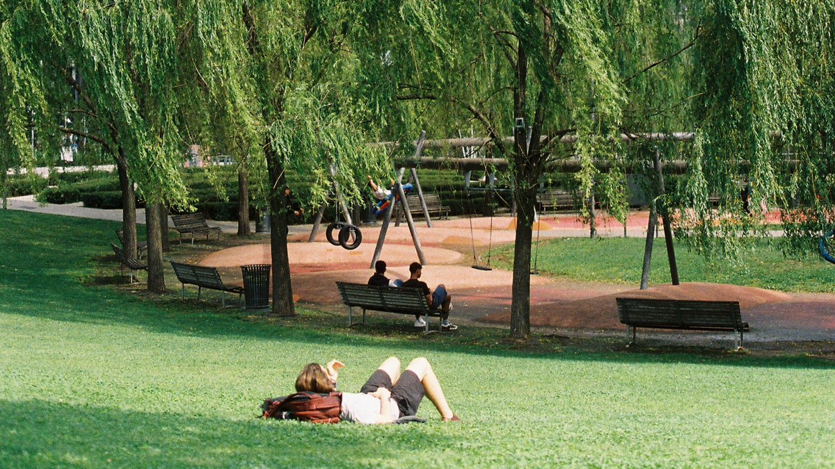 matchabae99's tweet image. film