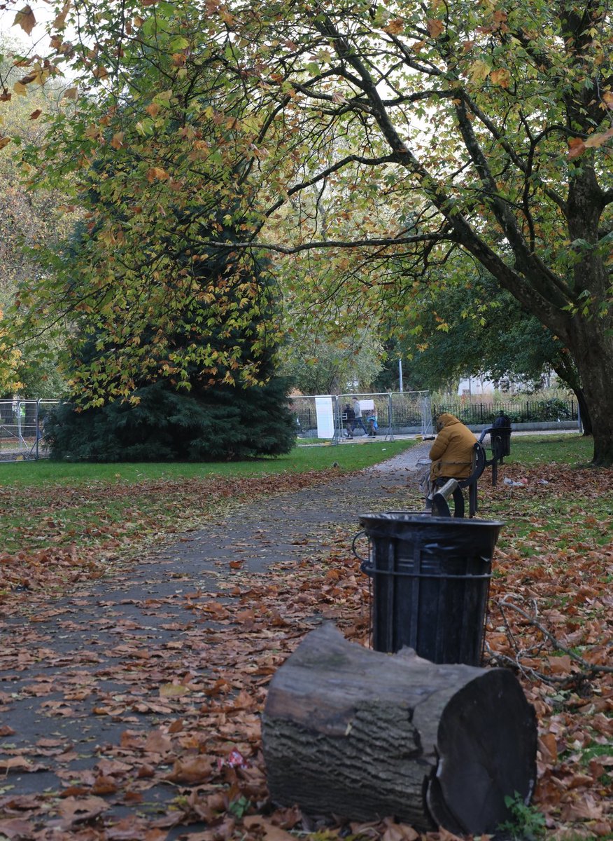 This morning was truly lovely