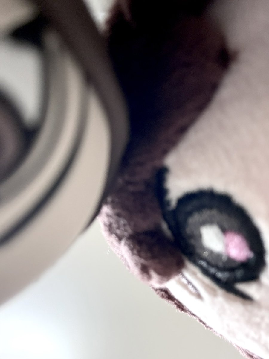 あむ (@kyomochi_0sec) on Twitter photo 