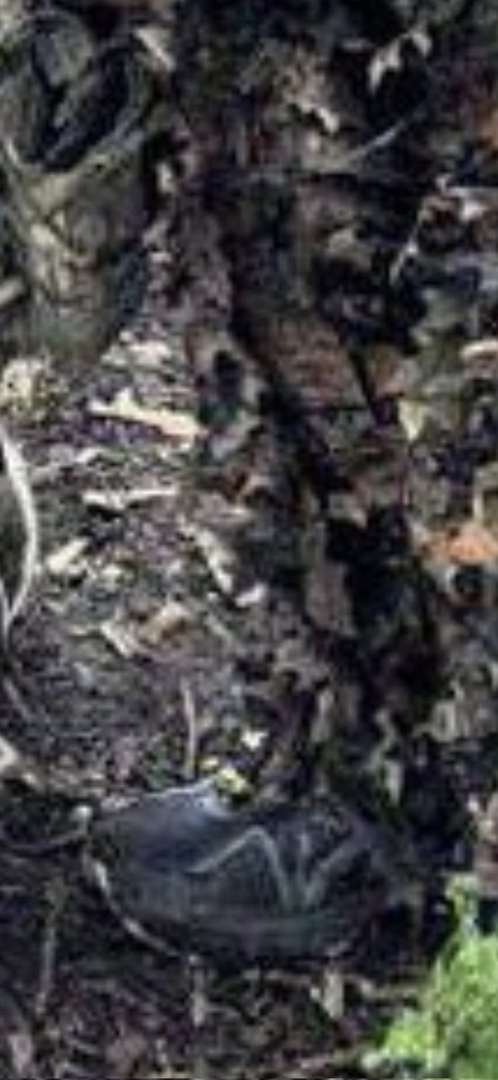 BenjaminFrenklin tweet media