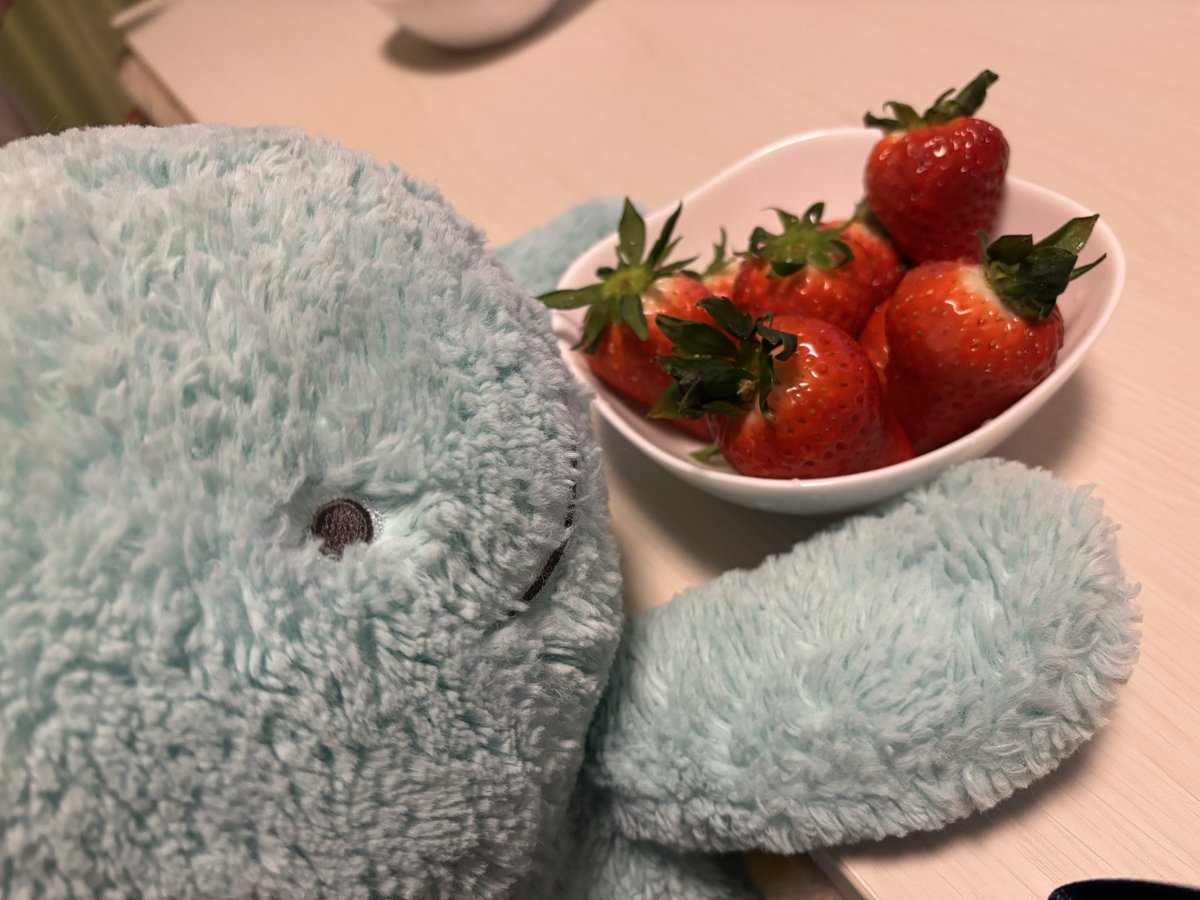 ぬし？いちごたべるぬ？
だぬもっだぬもったべたいぬっ
ぬええええ？だぬのないぬ？
ぬし？いっこちょーだいぬっ(˙𐃷˙)