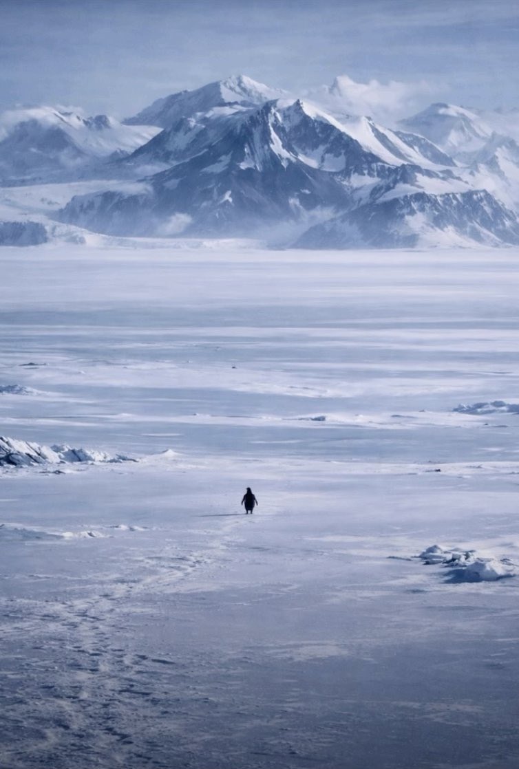 “I know of no better life purpose than to perish in attempting the great and the impossible.”   

- Friedrich Nietzsche