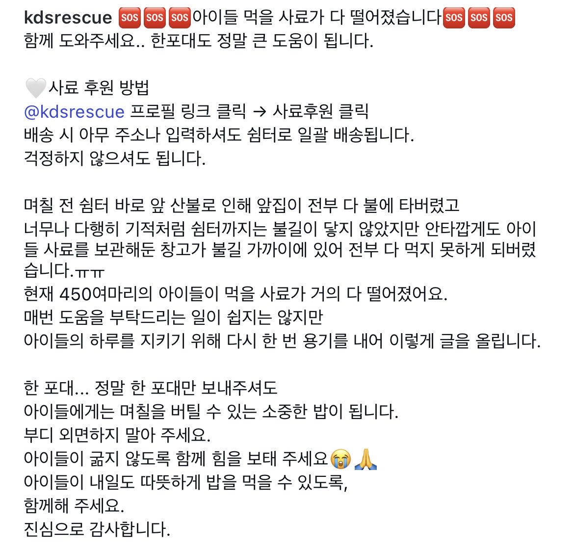 여러분,, 뜬금없이 요런이야기 정말 죄송하고 걍 보고 지나가셔도 되지만ㅠ

영재가 후원했던 유기견보호센터 뒷산에 얼마전 불이 크게났는데 사료 창고가 그 근처에 있어서 남은 사료들을 다 못쓰게 되었다고 합니다ㅠ